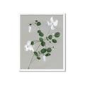 Picture of White flower IV _GroupedProduct_Rectangle_Portrait_Framed_Matted_