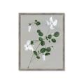 Picture of White flower IV _GroupedProduct_Rectangle_Portrait_Framed_Matted_