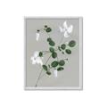 Picture of White flower IV _GroupedProduct_Rectangle_Portrait_Framed_Matted_