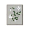 Picture of White flower IV _GroupedProduct_Rectangle_Portrait_Framed_Matted_