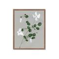 Picture of White flower IV _GroupedProduct_Rectangle_Portrait_Framed_Matted_