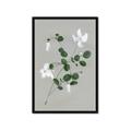 Picture of White flower IV _GroupedProduct_Rectangle_Portrait_Framed_Matted_