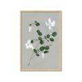 Picture of White flower IV _GroupedProduct_Rectangle_Portrait_Framed_Matted_