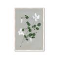Picture of White flower IV _GroupedProduct_Rectangle_Portrait_Framed_Matted_
