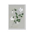 Picture of White flower IV _GroupedProduct_Rectangle_Portrait_Framed_Matted_