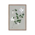 Picture of White flower IV _GroupedProduct_Rectangle_Portrait_Framed_Matted_