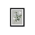 Picture of White flower IV _GroupedProduct_Rectangle_Portrait_Framed_Matted_