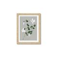 Picture of White flower IV _GroupedProduct_Rectangle_Portrait_Framed_Matted_
