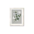 Picture of White flower IV _GroupedProduct_Rectangle_Portrait_Framed_Matted_