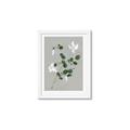 Picture of White flower IV _GroupedProduct_Rectangle_Portrait_Framed_Matted_