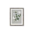 Picture of White flower IV _GroupedProduct_Rectangle_Portrait_Framed_Matted_