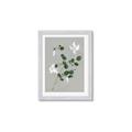 Picture of White flower IV _GroupedProduct_Rectangle_Portrait_Framed_Matted_