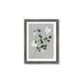 Picture of White flower IV _GroupedProduct_Rectangle_Portrait_Framed_Matted_