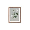 Picture of White flower IV _GroupedProduct_Rectangle_Portrait_Framed_Matted_
