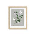 Picture of White flower IV _GroupedProduct_Rectangle_Portrait_Framed_Matted_