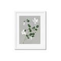 Picture of White flower IV _GroupedProduct_Rectangle_Portrait_Framed_Matted_