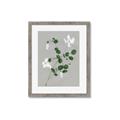 Picture of White flower IV _GroupedProduct_Rectangle_Portrait_Framed_Matted_