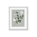 Picture of White flower IV _GroupedProduct_Rectangle_Portrait_Framed_Matted_