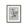 Picture of White flower IV _GroupedProduct_Rectangle_Portrait_Framed_Matted_