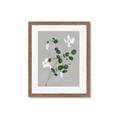 Picture of White flower IV _GroupedProduct_Rectangle_Portrait_Framed_Matted_
