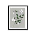Picture of White flower IV _GroupedProduct_Rectangle_Portrait_Framed_Matted_