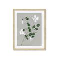 Picture of White flower IV _GroupedProduct_Rectangle_Portrait_Framed_Matted_