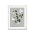 Picture of White flower IV _GroupedProduct_Rectangle_Portrait_Framed_Matted_