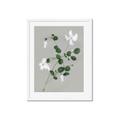 Picture of White flower IV _GroupedProduct_Rectangle_Portrait_Framed_Matted_