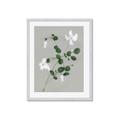 Picture of White flower IV _GroupedProduct_Rectangle_Portrait_Framed_Matted_