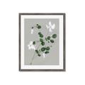 Picture of White flower IV _GroupedProduct_Rectangle_Portrait_Framed_Matted_