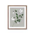 Picture of White flower IV _GroupedProduct_Rectangle_Portrait_Framed_Matted_