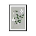 Picture of White flower IV _GroupedProduct_Rectangle_Portrait_Framed_Matted_