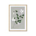 Picture of White flower IV _GroupedProduct_Rectangle_Portrait_Framed_Matted_