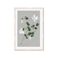 Picture of White flower IV _GroupedProduct_Rectangle_Portrait_Framed_Matted_