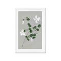 Picture of White flower IV _GroupedProduct_Rectangle_Portrait_Framed_Matted_