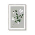 Picture of White flower IV _GroupedProduct_Rectangle_Portrait_Framed_Matted_
