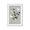 Picture of White flower IV _GroupedProduct_Rectangle_Portrait_Framed_Matted_
