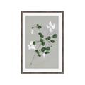 Picture of White flower IV _GroupedProduct_Rectangle_Portrait_Framed_Matted_