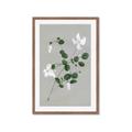 Picture of White flower IV _GroupedProduct_Rectangle_Portrait_Framed_Matted_