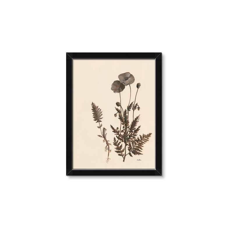 Picture of Vintage Botanical I  _GroupedProduct_Rectangle_Portrait_Framed_Matted_