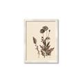 Picture of Vintage Botanical I  _GroupedProduct_Rectangle_Portrait_Framed_Matted_