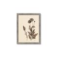 Picture of Vintage Botanical I  _GroupedProduct_Rectangle_Portrait_Framed_Matted_
