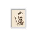 Picture of Vintage Botanical I  _GroupedProduct_Rectangle_Portrait_Framed_Matted_