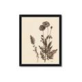 Picture of Vintage Botanical I  _GroupedProduct_Rectangle_Portrait_Framed_Matted_