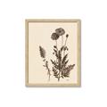 Picture of Vintage Botanical I  _GroupedProduct_Rectangle_Portrait_Framed_Matted_