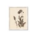 Picture of Vintage Botanical I  _GroupedProduct_Rectangle_Portrait_Framed_Matted_