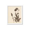 Picture of Vintage Botanical I  _GroupedProduct_Rectangle_Portrait_Framed_Matted_