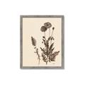 Picture of Vintage Botanical I  _GroupedProduct_Rectangle_Portrait_Framed_Matted_