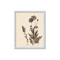 Picture of Vintage Botanical I  _GroupedProduct_Rectangle_Portrait_Framed_Matted_