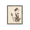 Picture of Vintage Botanical I  _GroupedProduct_Rectangle_Portrait_Framed_Matted_